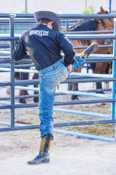 Helldorado days Rodeo — Stock Photo, Image