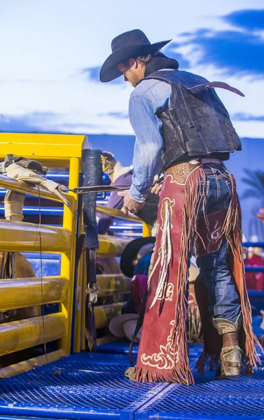 Giorni di Helldorado rodeo — Foto Stock