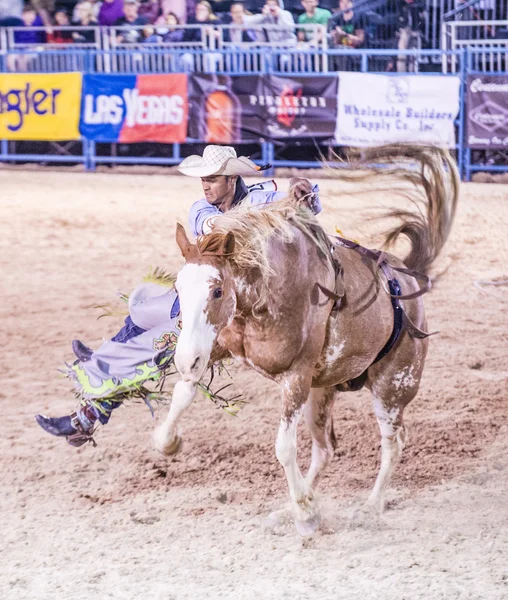 Helldorado dagar rodeo — Stockfoto