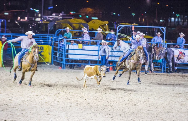 Helldorado napok rodeo — Stock Fotó