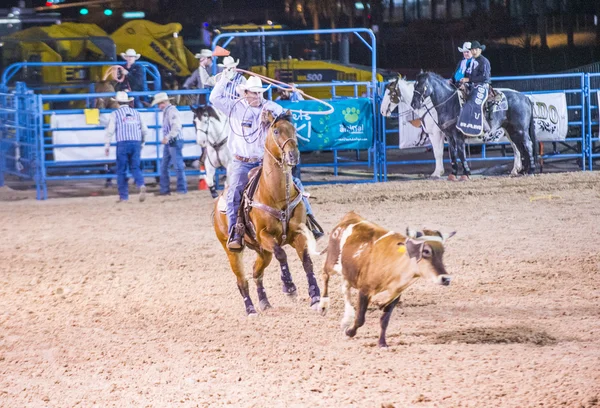 Helldorado dagar rodeo — Stockfoto