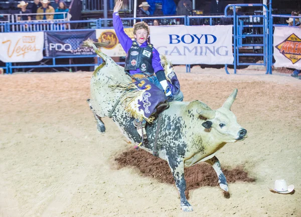 Helldorado days Rodeo — Stock Photo, Image