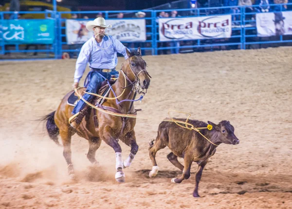 Helldorado dagen rodeo — Stockfoto