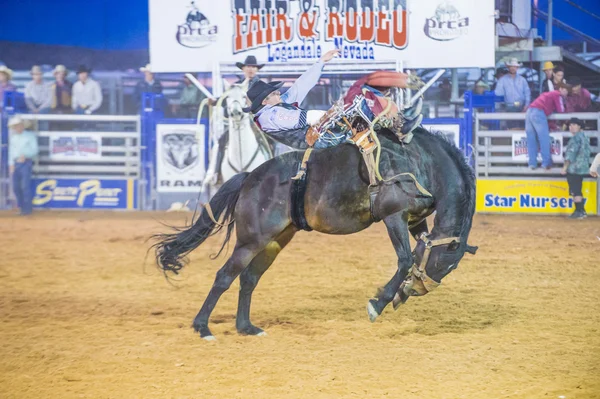 Clark county fair en rodeo — Stockfoto