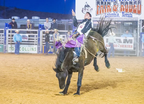 Clark county fair en rodeo — Stockfoto