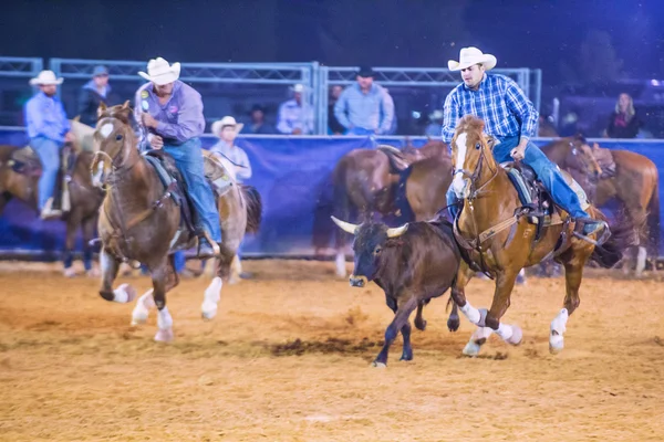 Feria y Rodeo del Condado de Clark — Foto de Stock