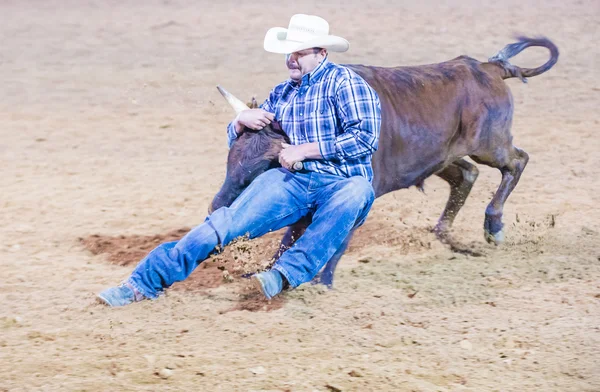 Clark County Fair and Rodeo — Stock Photo, Image