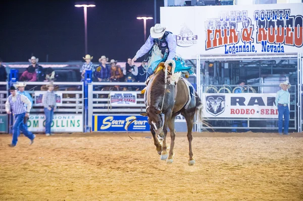 Clark county fair a rodeo — Stock fotografie