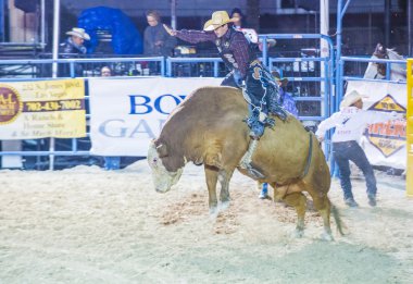 Helldorado gün rodeo