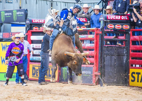 Sista Cowboy stående — Stockfoto