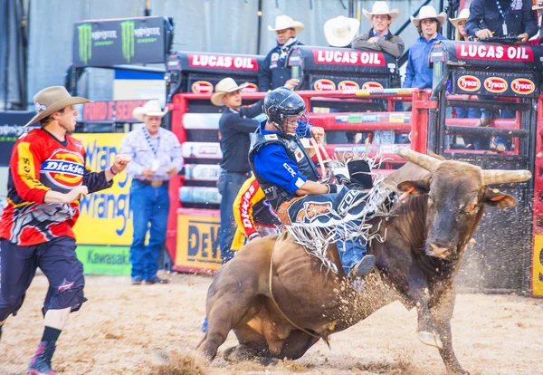 Dernier Cowboy debout — Photo