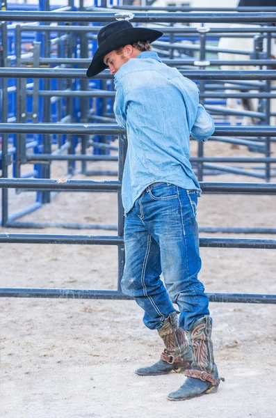 Helldorado dagen rodeo — Stockfoto