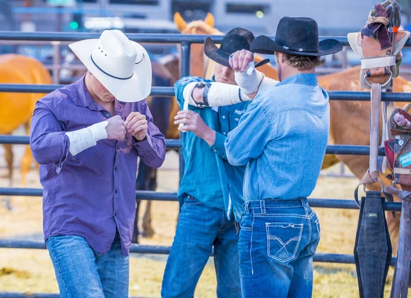 Helldorado dagar rodeo — Stockfoto