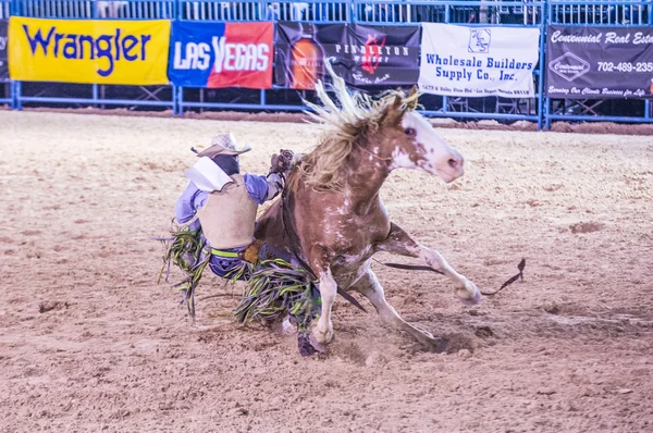 Helldorado dagen rodeo — Stockfoto