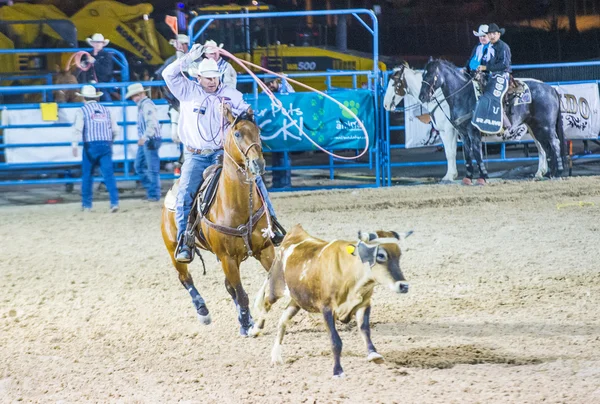 Helldorado dagar rodeo — Stockfoto