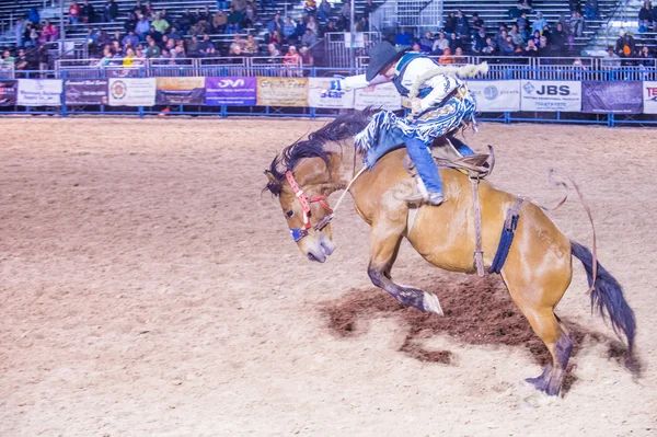 Giorni di Helldorado rodeo — Foto Stock