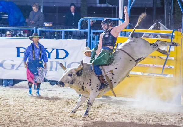 Helldorado days Rodeo — Stock Photo, Image