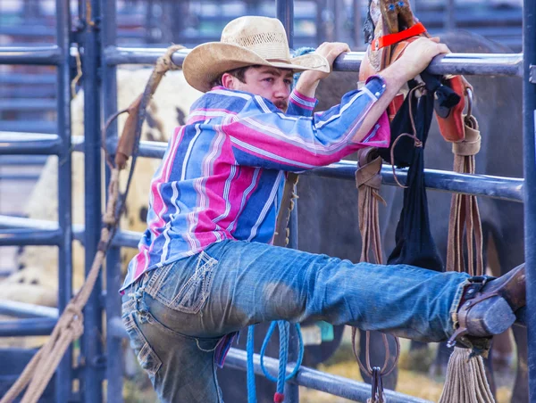 Helldorado días rodeo — Foto de Stock