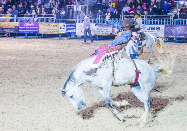 Helldorado dagar rodeo — Stockfoto