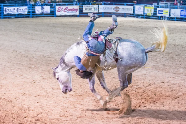 Helldorado days Rodeo — Stock Photo, Image