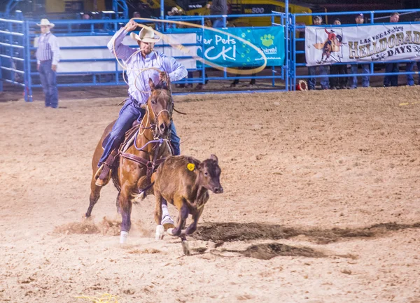 Helldorado dagar rodeo — Stockfoto