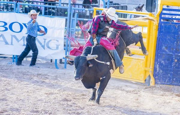 Helldorado días rodeo — Foto de Stock