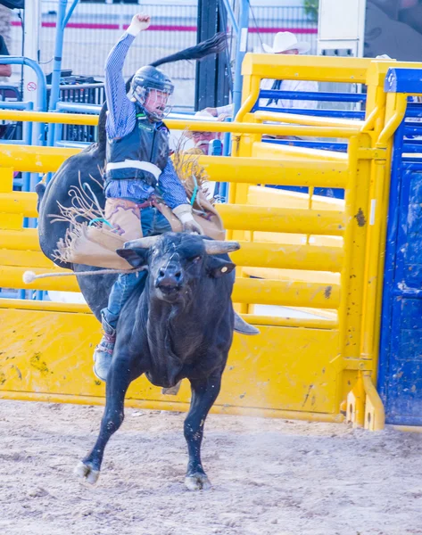 Helldorado days Rodeo — Stock Photo, Image