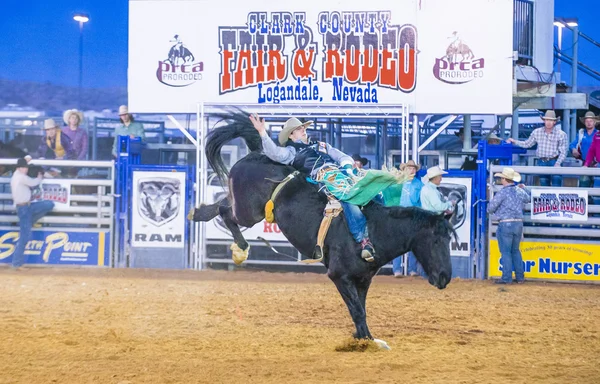 Feria y Rodeo del Condado de Clark —  Fotos de Stock