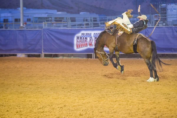 Clark County Fair and Rodeo — Stock Photo, Image