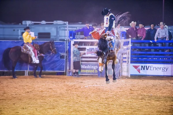 Clark county fair i rodeo — Zdjęcie stockowe