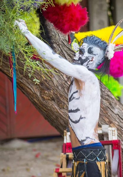 Festival av valle del maiz — Stockfoto