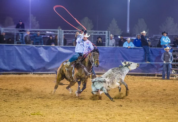 Clark county fair och rodeo — Stockfoto