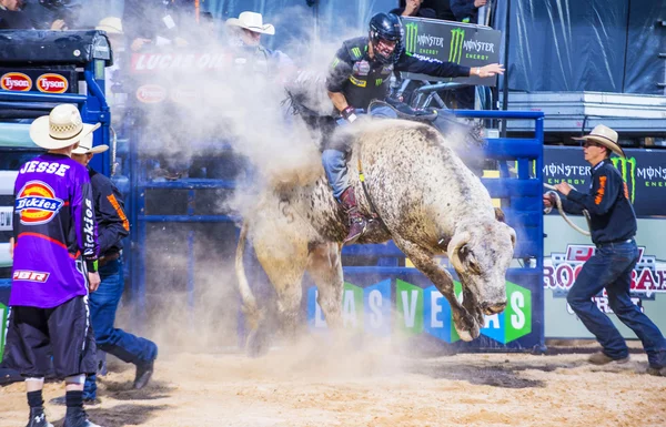 Laatste Cowboy staan — Stockfoto