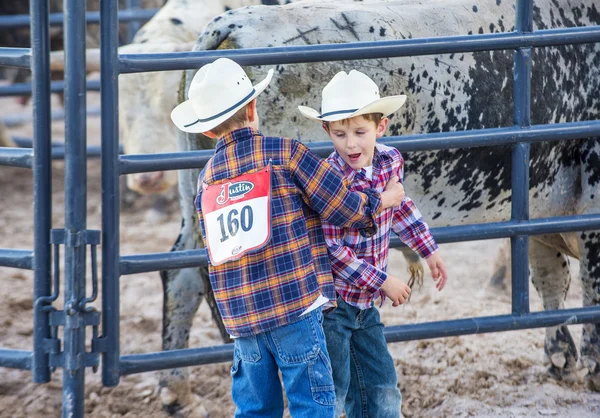 Helldorado days Rodeo — Stock Photo, Image