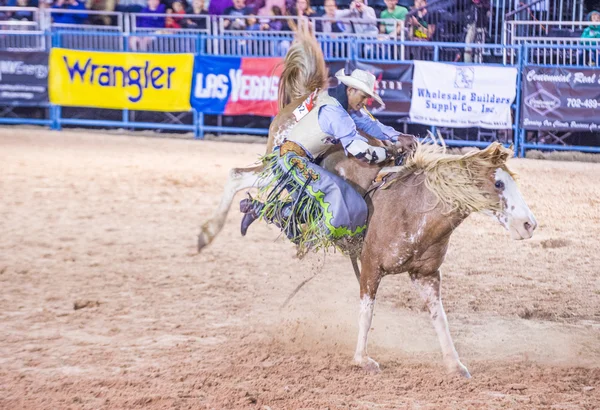 Helldorado dagen rodeo — Stockfoto