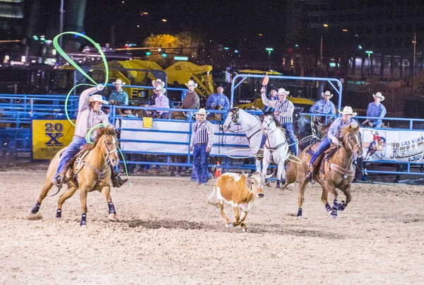 Helldorado days Rodeo — Stock Photo, Image