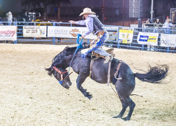 Helldorado dager rodeo – stockfoto