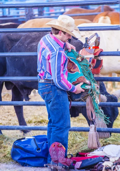 Helldorado días rodeo — Foto de Stock