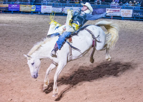 Helldorado dagar rodeo — Stockfoto