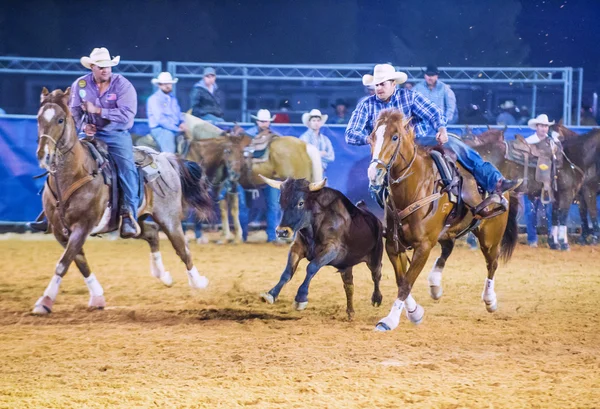 Clark County Fair e Rodeo — Foto Stock