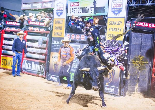 Sista Cowboy stående — Stockfoto