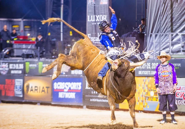 Last Cowboy Standing — Stock Photo, Image