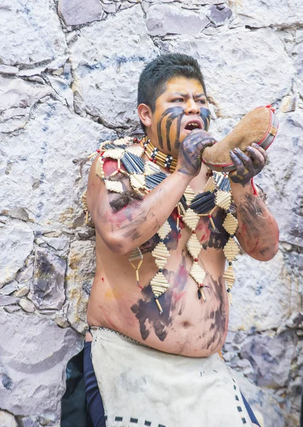 Valle del maiz Festivali — Stok fotoğraf