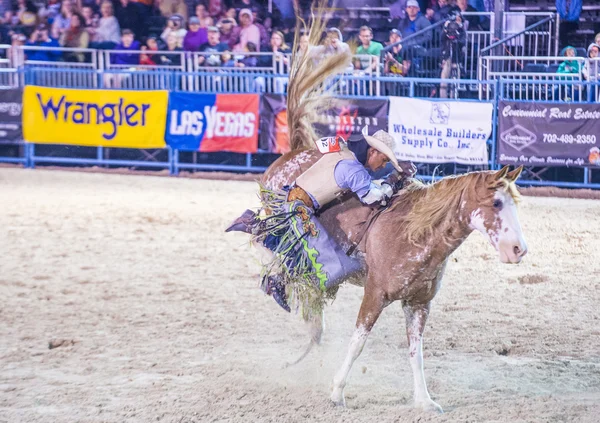 Helldorado dagen rodeo — Stockfoto