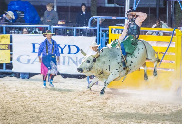 Helldorado dagar rodeo — Stockfoto