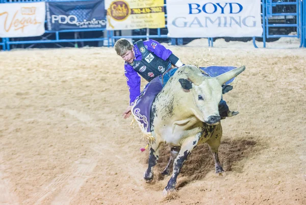 Helldorado días rodeo — Foto de Stock