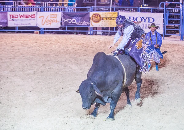 Helldorado days Rodeo — Stock Photo, Image