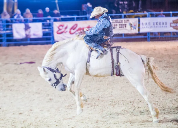 Giorni di Helldorado rodeo — Foto Stock