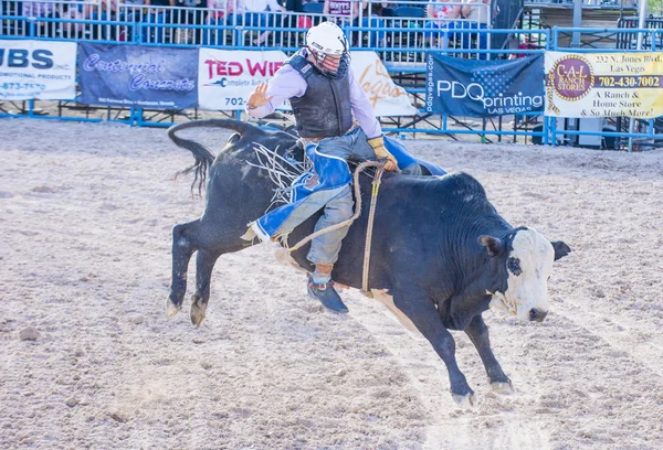 Helldorado días rodeo — Foto de Stock