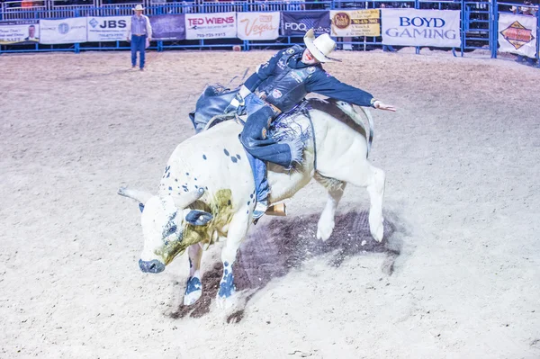 Helldorado días rodeo — Foto de Stock